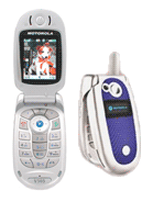 Best available price of Motorola V303 in Call